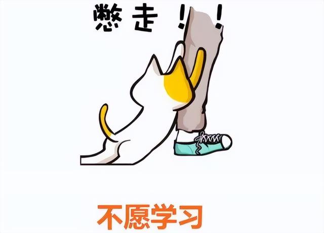 读研究生一年要多少钱学费，读研究生一年学费要多少钱（本科生晒出研究生收费单）