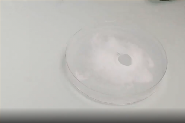 肥皂泡的制作方法，如何制作肥皂泡（如何吹出一年多都不会爆炸的泡泡）