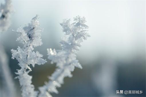 冬至什么时候，2022年冬至什么时候（2022三九天从什么时候开始）