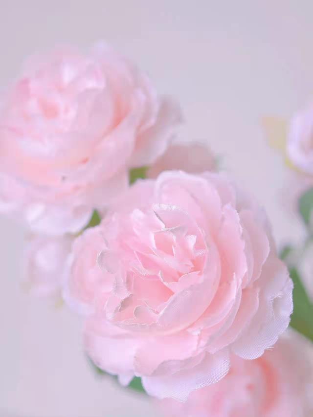 关于爱情的文案，爱情文案短句干净治愈（原来真正的爱情本身就是浪漫）