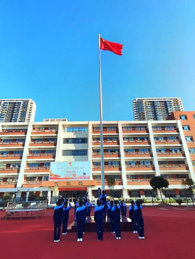 少先队员队徽的含义，少先队员的队旗和红领巾的含义是什么（这些少先队基础知识）