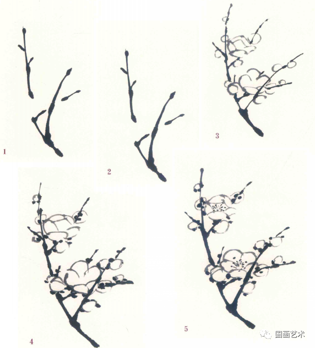 梅花怎么画简单又好看，梅花简笔画怎么画（图文教程——梅花基本画法）