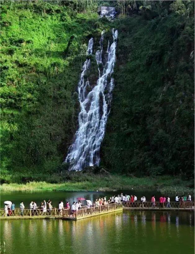 东莞自驾一日游更佳景点，打卡松山湖黄花风铃木+水濂山森林公园