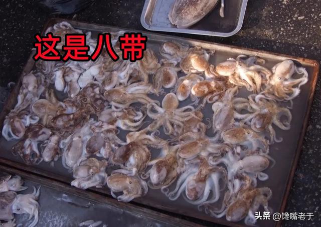 青岛9月份开海，开海时间（来青岛别只会吃大虾）