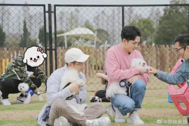 宠物训导师，宠物驯导师：有人年入百万（宠物师培训）