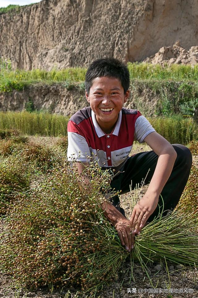 甜津津的食物有哪些，甜津津的食物有哪些呢（最地道的甘肃风味）