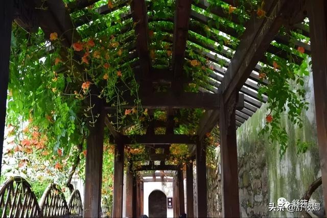 狮子林简介，狮子林简介和历史（苏州园林-狮子林）