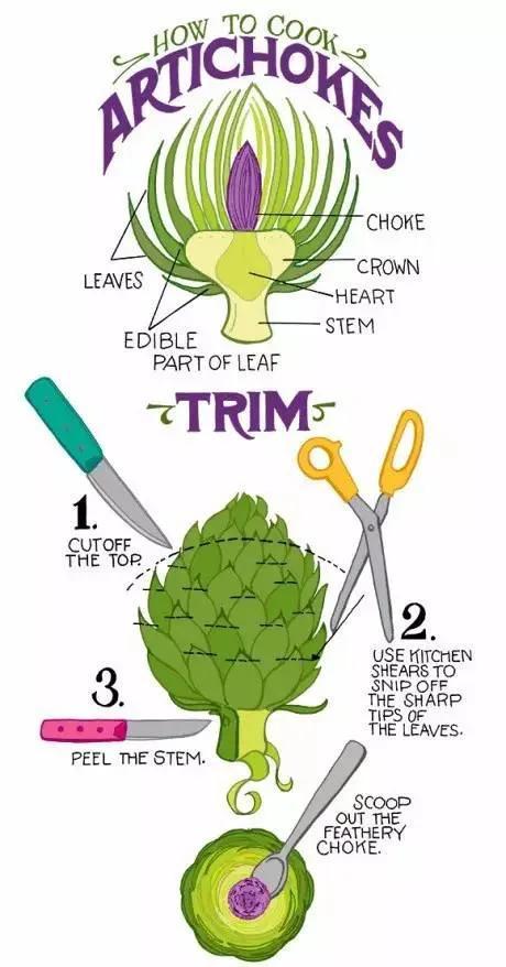 洋蓟的功效与作用，洋藓的功效与作用（洋蓟是什么东西）