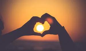 什么是团队协作精神，团队协作精神是什么（小故事·大智慧一一马首是瞻一一你是否懂得团结协作）