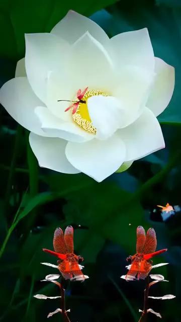 关于担心牵挂的句子，关于担心牵挂的句子古诗（注定是一生的牵挂惦念）