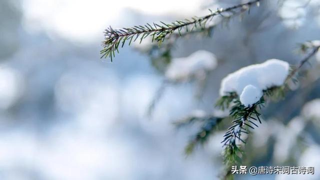 古人对雪的雅称，古人雪的称呼（品读雪的那些美称）