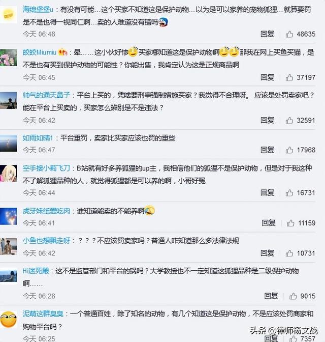 男子买狐狸当宠物的后果 养狐需谨慎，男子买狐狸当宠物的后果（网上花750买只小狐狸给女友当宠物被刑拘）