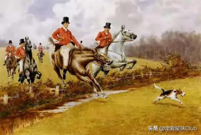 broken翻译，Broken（碎网名）（精力十足的“挖掘机”网名）