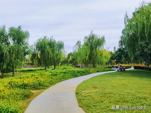 郑州龙湖湿地公园现状分析，河南郑州龙湖湿地公园秋色初露