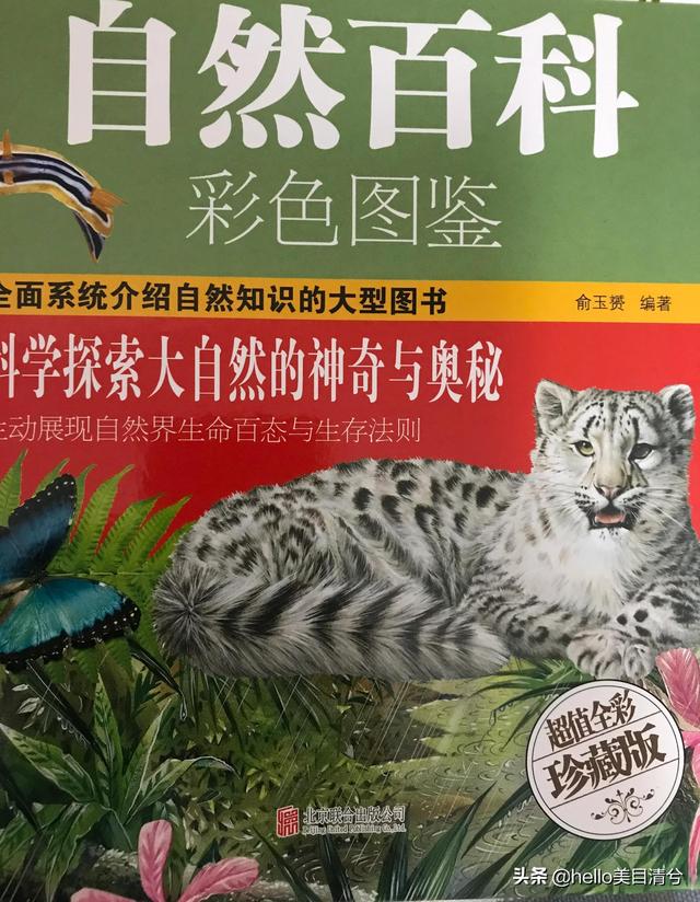 种子的传播方式有几种，植物种子的传播方式有哪些（《自然百科》告诉你植物种子是怎样移动的）