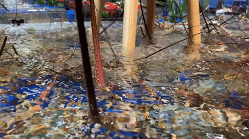 广州塔附近美食，广州塔附近有什么好吃的（从广州塔到番禺万达）