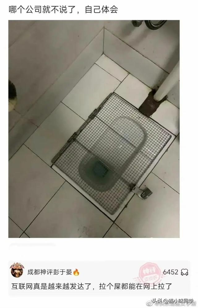 壁虎能长多大，为什么家里有壁虎一定要打死（“以为买了个壁虎）