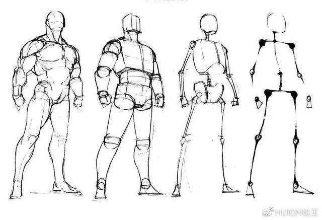 人体各部位的比例是多少，人体各部位的比例是多少（人体结构、动态怎么画）