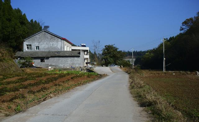高龄产妇生孩子的风险有哪些，43岁生二胎的真实感受蒋勤勤（河北高龄孕妇产下五胞胎,五孩6岁荣登北京奥运会,母亲称后悔生下）