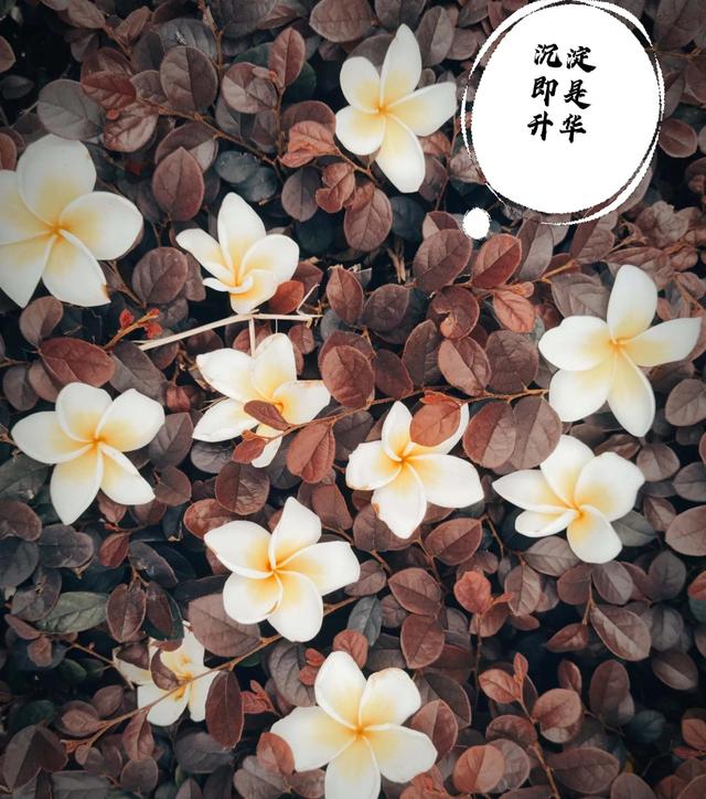 人生修行经典句子，佛说人生感悟的句子（摘抄笔记《人生智慧》人生是一场自我修行）