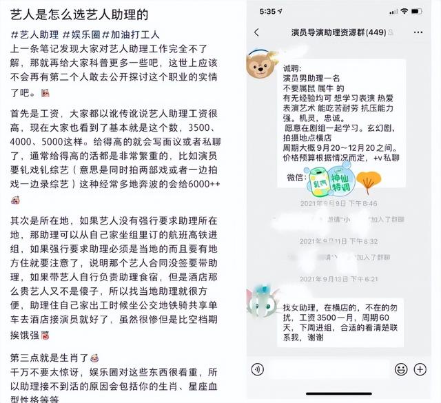 明星工作室招聘，杨幂工作室招聘童星（有明星仅开2000元的月薪）