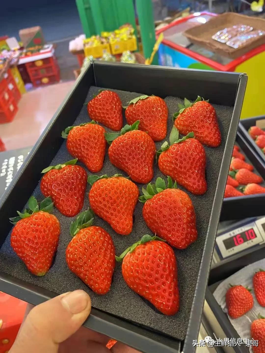 浆果是什么，浆果是什么软件（不同水果的不同包装<浆果篇>）