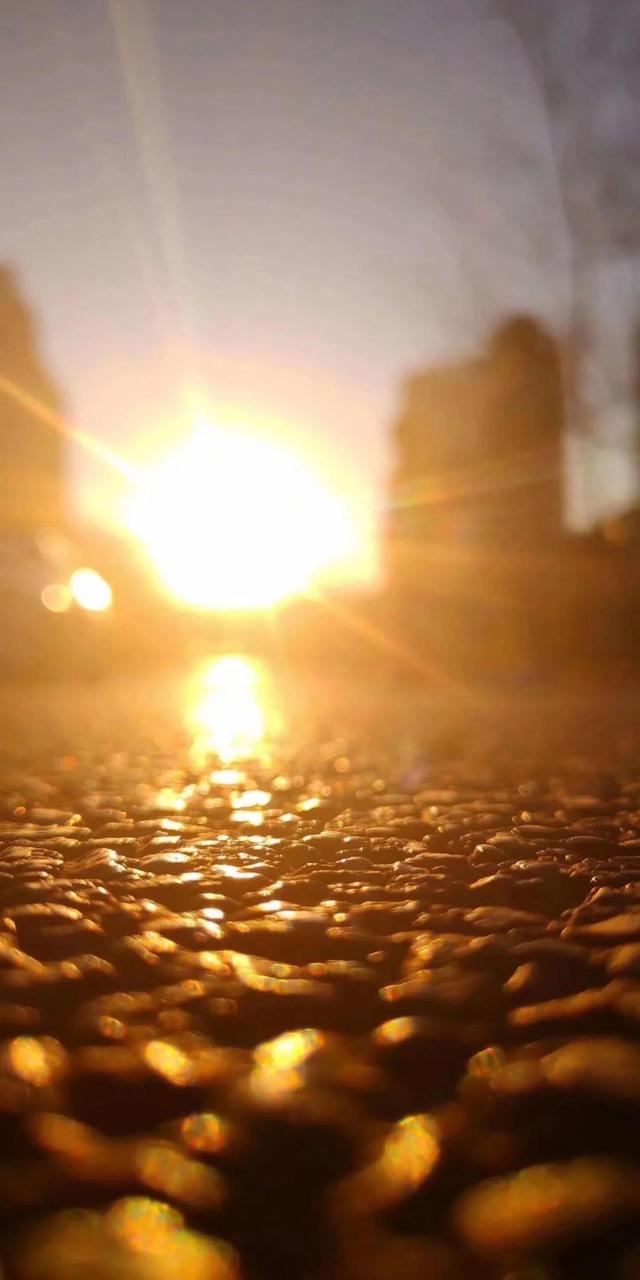 梦见太阳升起是什么意思，梦见太阳升起是什么意思（文案，适合配风景照的温柔文案）
