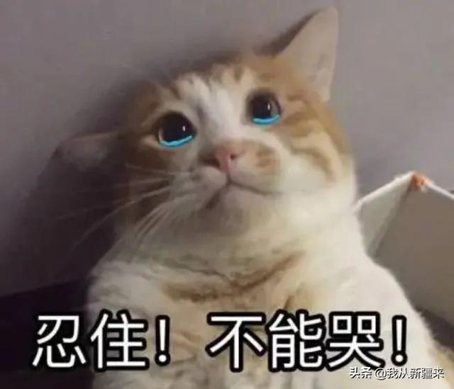 好听的西域风格的名字，以西域为主题的四字网名（你们新疆人名字都这么长吗）