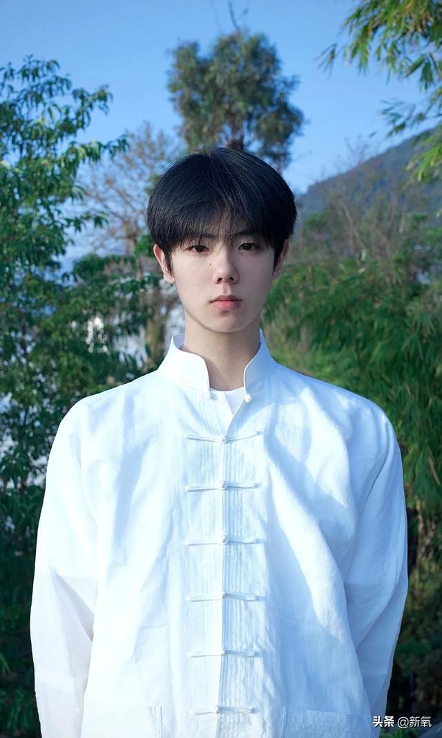 扑棱蛾子是什么梗，扑棱蛾子是什么梗贝斯（听说他换头是靠p的）