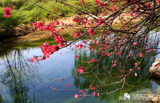 带三点水的清怎么写，带三点水的清怎么写怎么组词（ 清明时节话“清”和“明”）