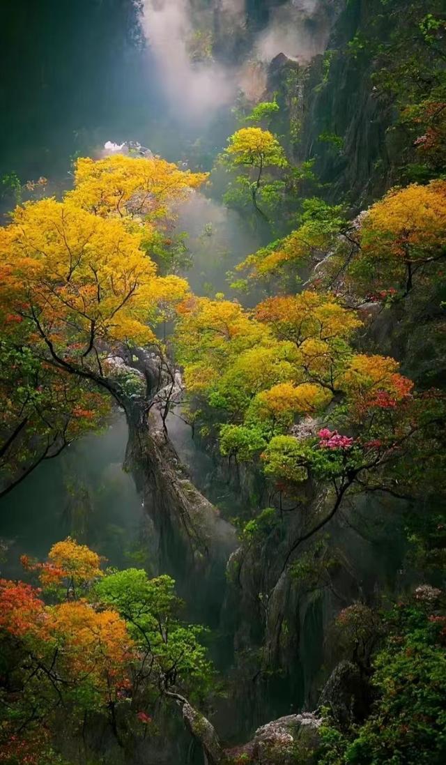 游子思乡的名句，游子思乡的名句都有哪些（读到这几首诗）