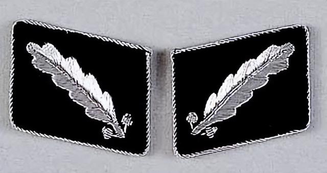 三星两杠什么军衔，关于军衔等级介绍（二战德国党卫军军衔简介）