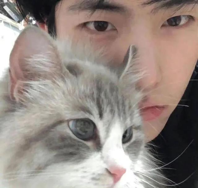 情侣图片一对两张，情侣图片一对两张一套（情侣头像一对两张，超可爱）