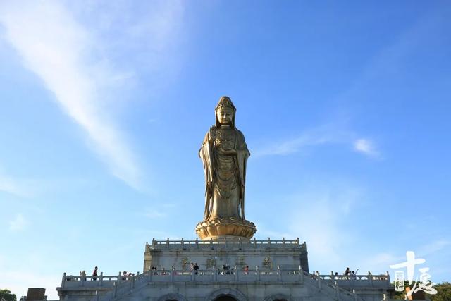 五台山 道场，佛教五大名山能有多绝