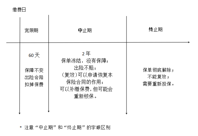 保险犹豫期是多久，保险的犹豫期是多少天（犹豫期）