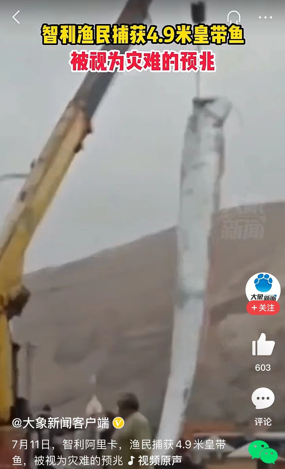 深海惊现“末日之鱼”：外形诡异恶心，竟被视作灾难降临前兆，引发全球恐慌！