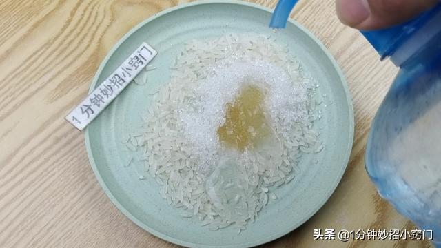 家里进老鼠了应该怎么办，家里进老鼠了怎么办（家里出现老鼠不要慌）