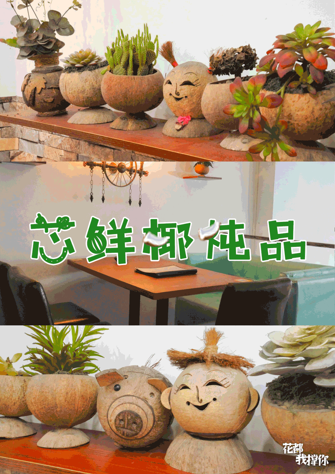 “椰”青回！跟酷暑say拜拜