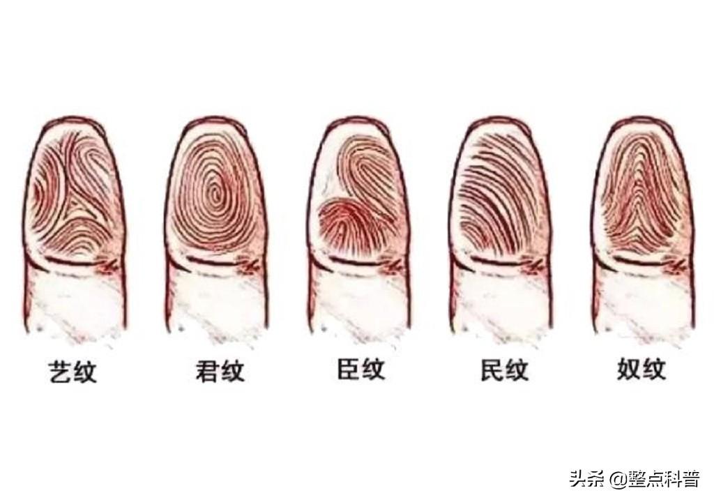 相學中雙手斷掌有何說法,男兒斷掌千斤兩 相學中雙手斷掌有何說法,男兒斷掌千斤兩