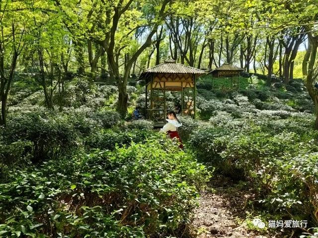 苏州山塘街攻略，苏州山塘街美食最强攻略（周末轻松苏州游）
