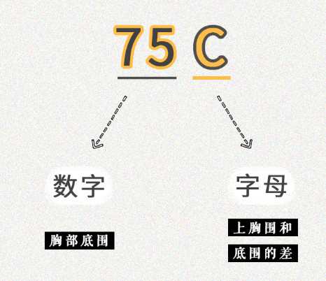 大胸一般穿什么内衣，胸部大穿什么内衣（如何帮胸大的女朋友选对内衣）