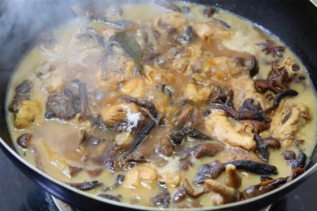 小鸡炖蘑菇用的什么蘑菇，小鸡炖蘑菇的蘑菇是哪一种（做东北菜小鸡炖蘑菇，用什么菇）