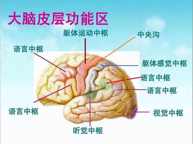 做题时老是乱想无法集中注意力，做题时胡思乱想老走神怎么办（心理学家：如果你喜欢胡思乱想）