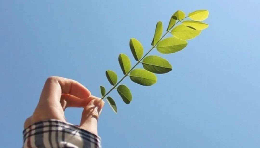 小学生时间管理，小学生时间管理方法（评论区都喊着让我分享时间管理的方法）