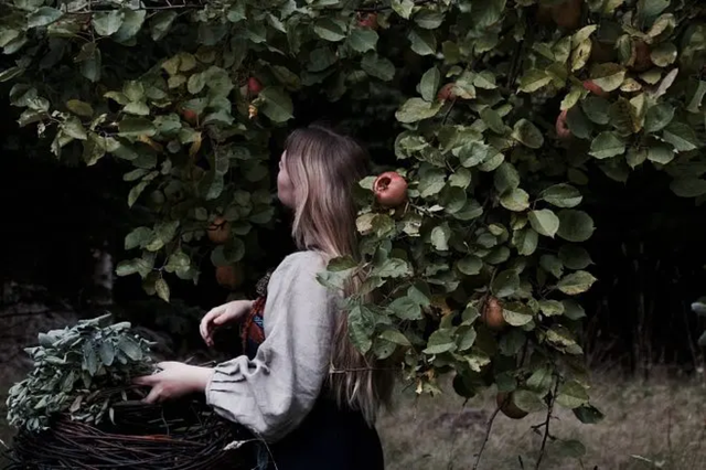 内心自我封闭的表现，内心封闭的原因（心理学：“封闭式独处”）