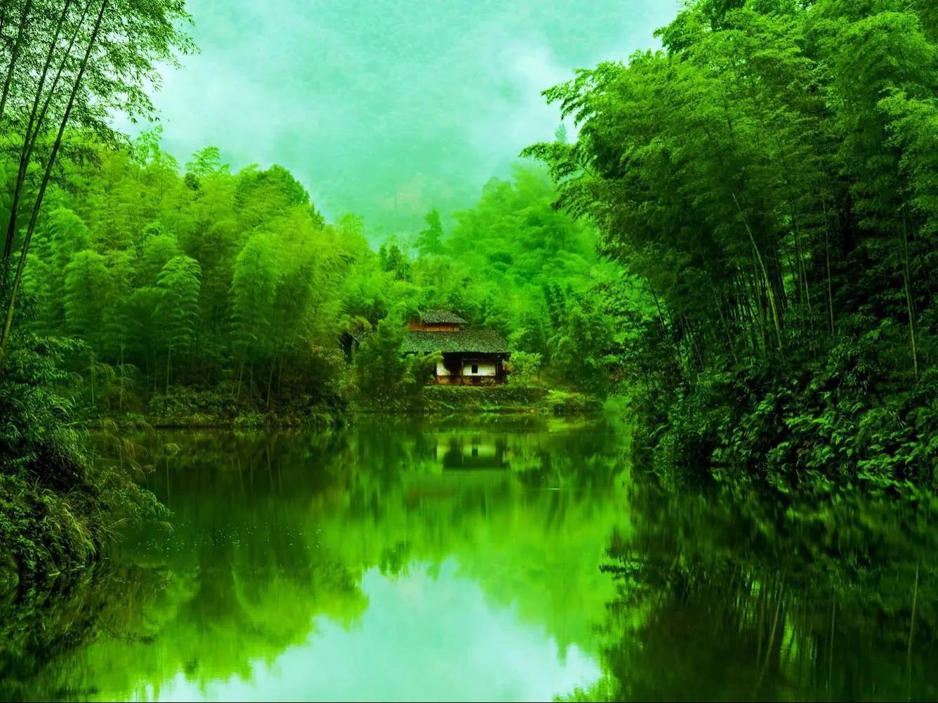 赤水竹海国家森林公园:"赤水风光竹海多,漫山遍岭翠姿娑"