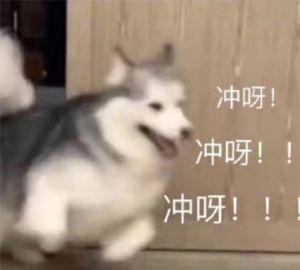 如何申请支付宝，如何申请支付宝邮箱（支付宝这个新功能，我等了十年）