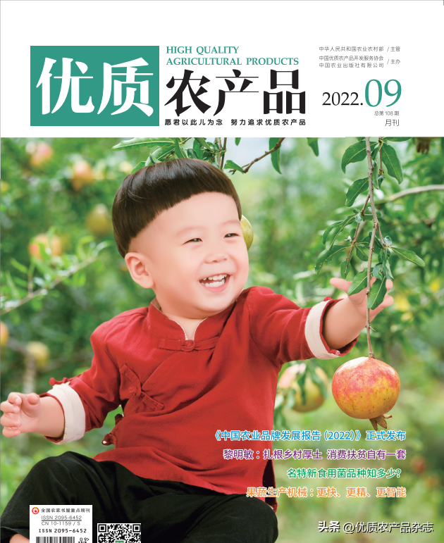 银杏树的介绍和特点，银杏树的介绍和特点+图片（秋风起银杏黄：明明白白吃白果）