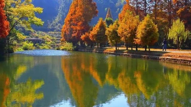 秋天是一个什么样的季节，秋天是一个什么样的季节写一段话（分享绝美秋色：叠翠流金）