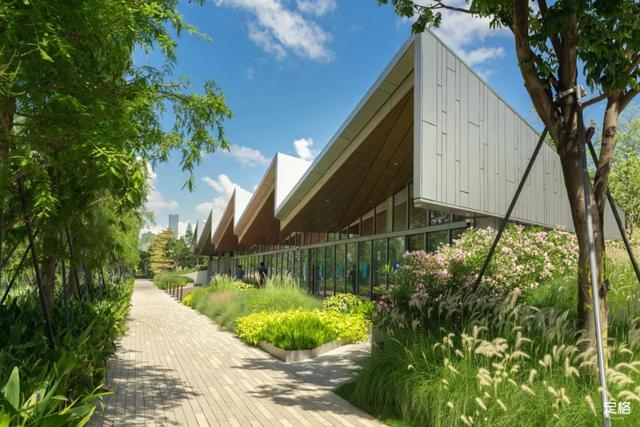 深圳好玩的免费景点，深圳哪里好玩的景点（来深圳这10个地方免费玩）